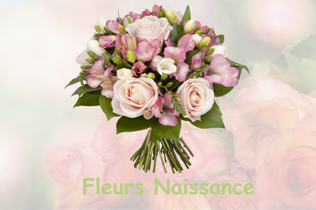 fleurs naissance CHEVRY-SOUS-LE-BIGNON