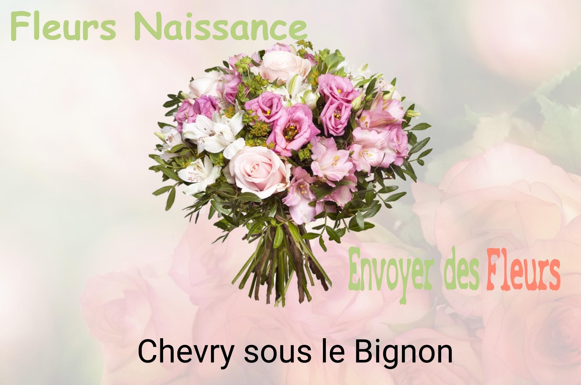 Bouquet de fleurs de naissance livré à Chevry-sous-le-Bignon